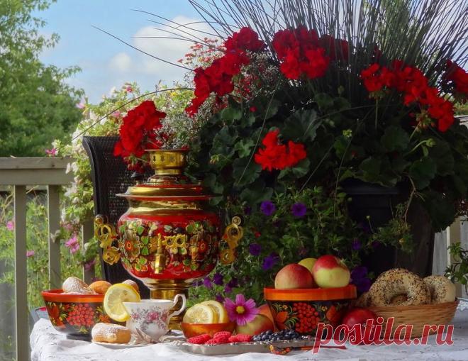 Летние радости! Натюрморты