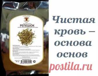 употреблять недельку-другую два растения — расторопшу и репешок — в определенной комбинации.

Принимать по 1 ч. л. порошка расторопши, запивая 1/3 стакана настоя репешка за 15 минут до еды 3 раза в день. Настой готовить следующим образом: 1 ч. л. сухой травы репешка залить стаканом горячей воды, кипятить в закрытой посуде 2 мин., настоять 2 часа, процедить.