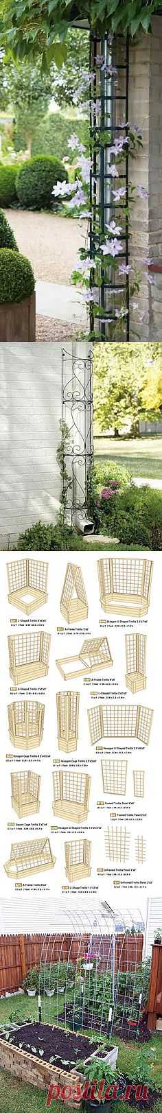 Hiding a downspout with trellis | Garden wonderland