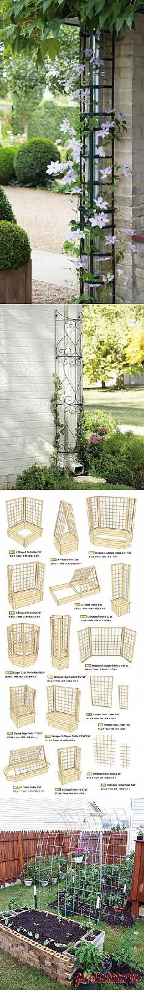 Hiding a downspout with trellis | Garden wonderland