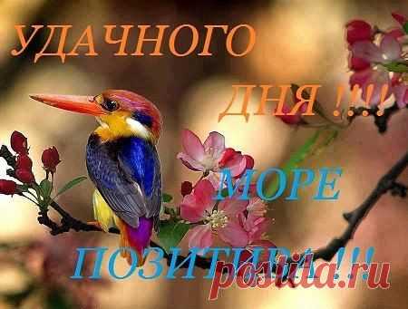 Жизнь она оооочень классная штука!!! Живите каждой минуткой, ловите каждый глоток воздуха!! Живите на полную катушку!!! Чтобы вам было, что вспомнить лет через 30. И может даже было за это немного стыдно)))