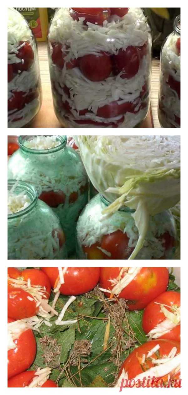 Помидоры с капустой на зиму в банках и в кастрюле: маринованные, соленые, малосольные - tolkovkysno.ru