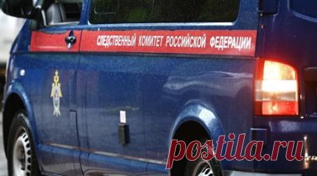 Дело возбудили после гибели мужчины из-за медведя у кафе под Смоленском. Уголовное дело возбудили по результатам проверки, проведённой после нападения медведя на мужчину на территории кафе, расположенного на окраине города Вязьмы в Смоленской области. Об этом сообщили в пресс-службе СК России. Читать далее