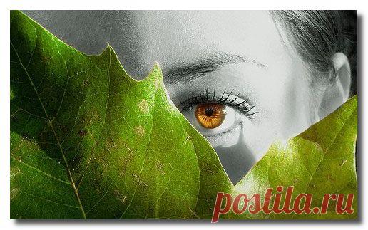 «притчи/легенды/проза...» | Записи в рубрике «притчи/легенды/проза...» | Дневник Der_Engel678