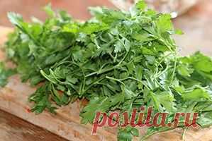 Как правильно хранить зелень в холодильнике - хранение зелени в холодильнике, как правильно хранить зелень в холодильнике, хранение зелени, как пр