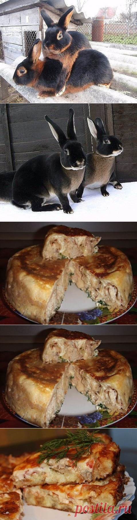 (16) Одноклассники