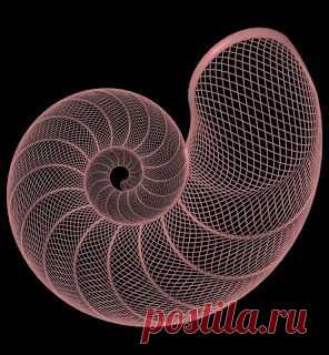 (248) Pinterest