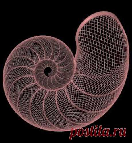 (248) Pinterest
