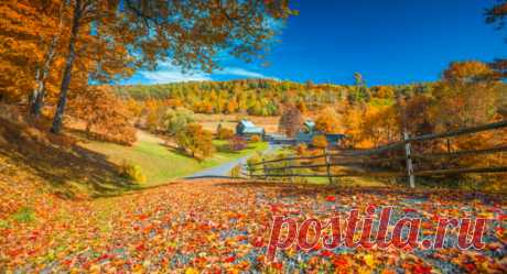 Autumn in Vermont by John S / 500px