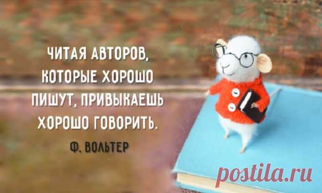 20 самых интересных высказываний о пользе чтения Книга - один из самых близких друзей. В книгах мы находим ответы на вопросы, книги дают пищу для размышлений, книги воспитывают в нас человека, книги