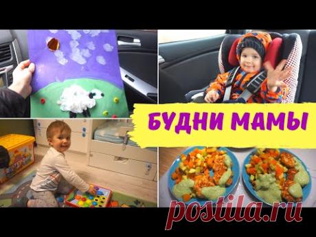 БУДНИ МАМЫ - СХВАТКА АНАНАСА С ЗУБАСТИКОМ - VLOG