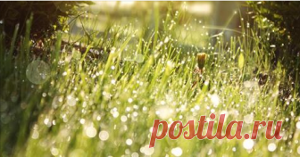 Упражнение для быстрого выхода из негативного состояния