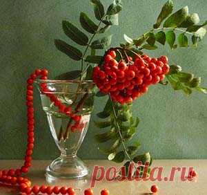 Как сделать рябину своими руками |Горячие кружева. Гильоширование или выжигание по ткани