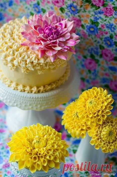 Любительницам георгинов / Болталка / Кулинария