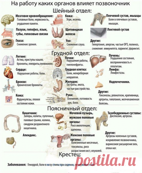 Столб жизни