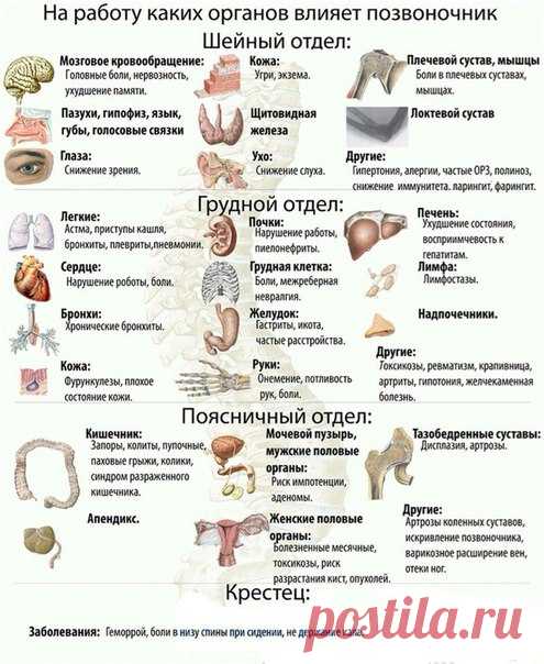 Столб жизни