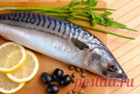 Рыба-рекордсмен, богатая Омега-3 жирными кислотами. Полезная и не дорогая!