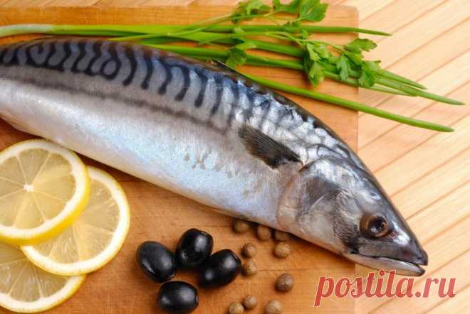 Рыба-рекордсмен, богатая Омега-3 жирными кислотами. Полезная и не дорогая!