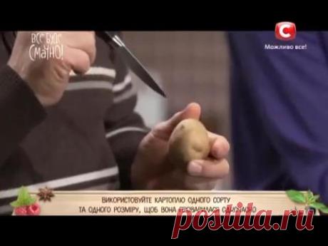 Для зраз подходит картофель с большим содержанием крахмала . лучше всего картофель в белой кожуре.
Перед тем как положить в воду, чтоб кожура не лопнула, надо наколоть картофель.