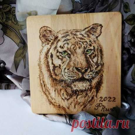 Photo by Любовь Прусик  г.Vladivostok on October 10, 2021. May be an image of big cat.