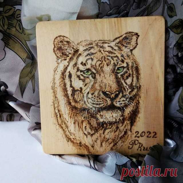 Photo by Любовь Прусик  г.Vladivostok on October 10, 2021. May be an image of big cat.