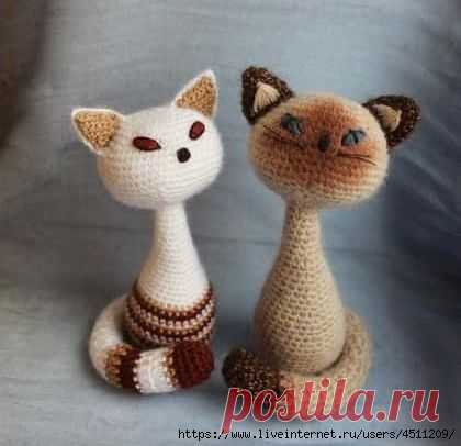 Котики.