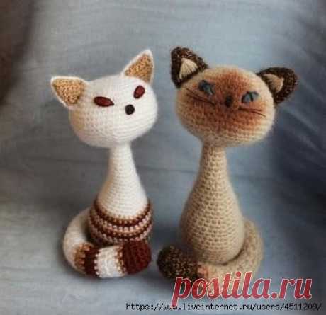 Котики.