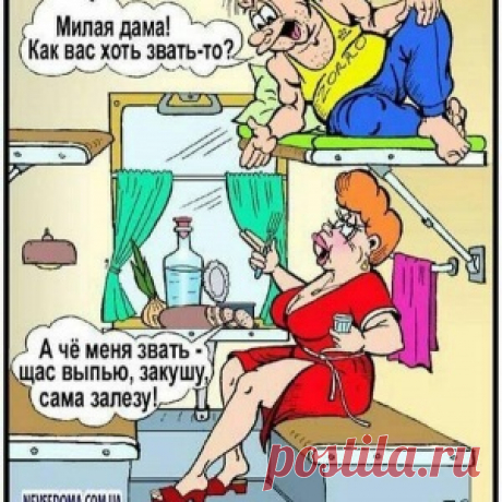 35 фото о том, как ведет себя ваш кот, пока вас нет дома - МирТесен