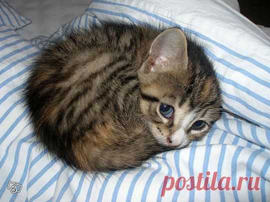 Pinterest: инструмент для поиска и хранения интересных идей