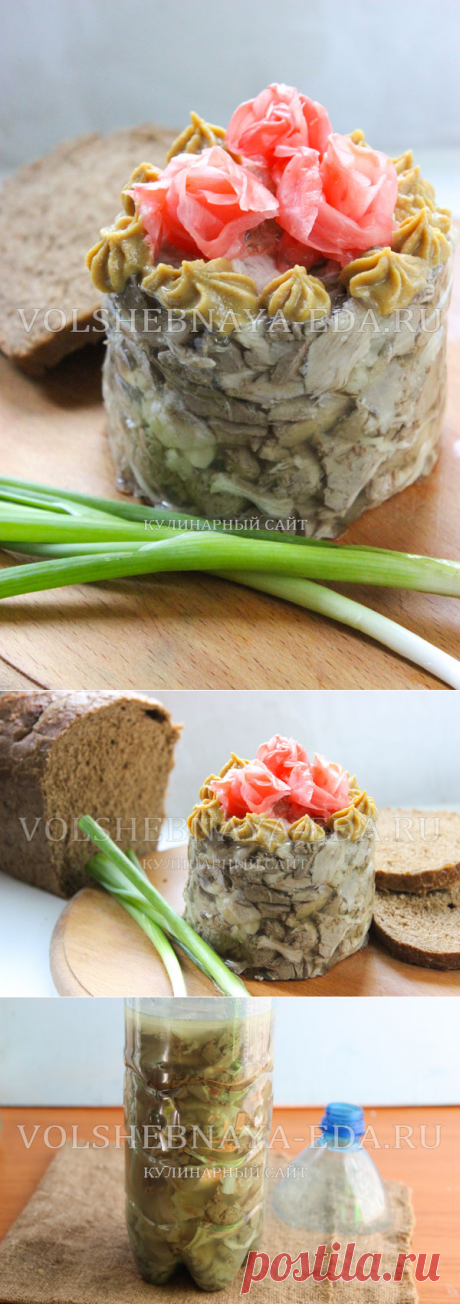 Сальтисон из курицы