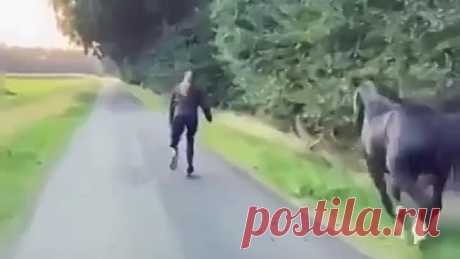 На одной волне