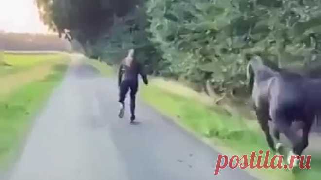 На одной волне