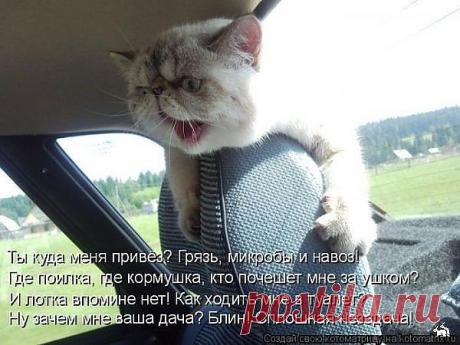 Ты куда меня привёз?