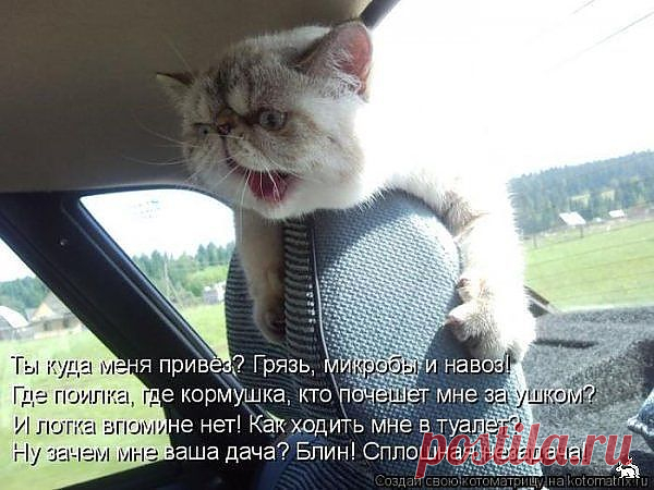 Ты куда меня привёз?