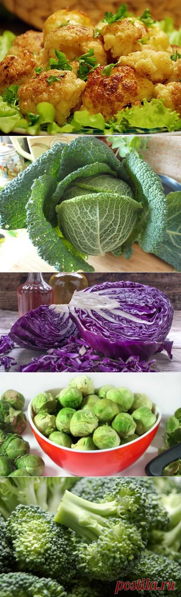 Особенности приготовления разных видов капусты: и вкусно и полезно!