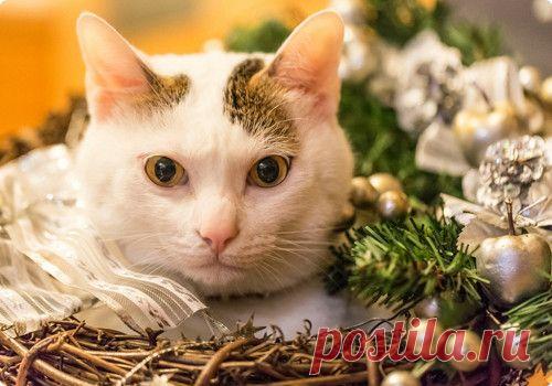 Мой Мир@Mail.Ru