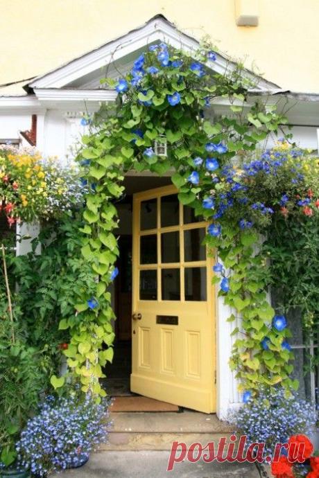 КРЫЛЬЦО И ТЕРРАСА | Самоцветик