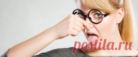 Запах тухлого в холодильнике Дом - Журнал полезных советов