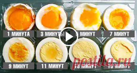 Варим яйца по науке: идеальная формула от шеф-повара - faceboard.net