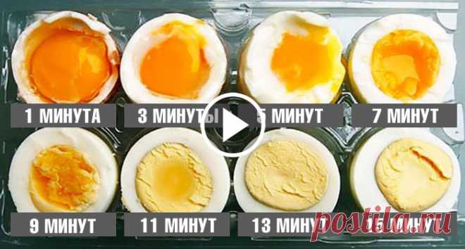 Варим яйца по науке: идеальная формула от шеф-повара - faceboard.net