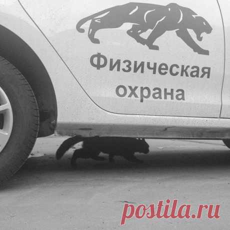 ПОЗИТИВНЫЙ ПОСТ