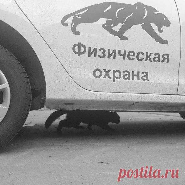 ПОЗИТИВНЫЙ ПОСТ