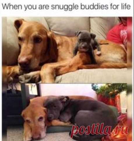 48 Funny Pictures For Today #53 – Funnyfoto | Funny Pictures - Videos - Gifs - Page 37