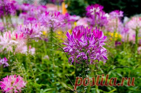 Владимир Шитиков – ФотоКто