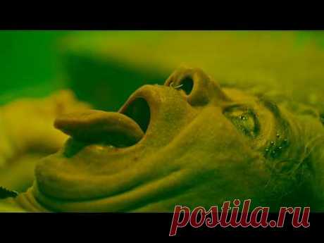 Скачать клип Till Lindemann - Prostitution (2025) бесплатно