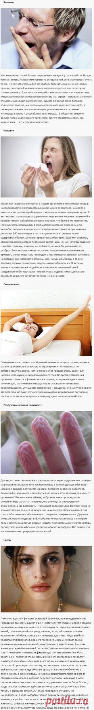 Странные процессы, которые происходят в организме человека