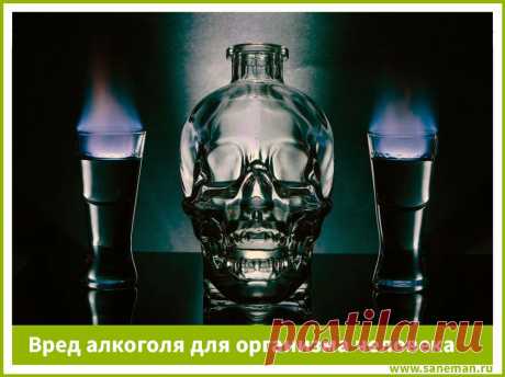 Вред алкоголя для организма человека Статья о вреде алкоголя для печени, поджелудочной железы, пищеварительного тракта, почек, нервной и сердечно-сосудистой систем, а также организма в целом.