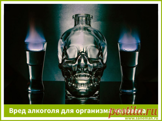 Вред алкоголя для организма человека Статья о вреде алкоголя для печени, поджелудочной железы, пищеварительного тракта, почек, нервной и сердечно-сосудистой систем, а также организма в целом.