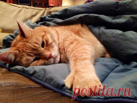 С утра «привет» и улыбнись,
И будет добрым день вполне.
Все получается, когда
Со счастьем на одной волне.