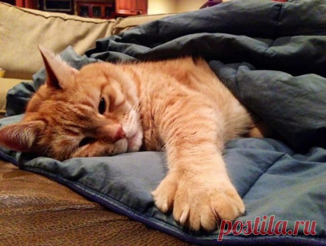 С утра «привет» и улыбнись,
И будет добрым день вполне.
Все получается, когда
Со счастьем на одной волне.